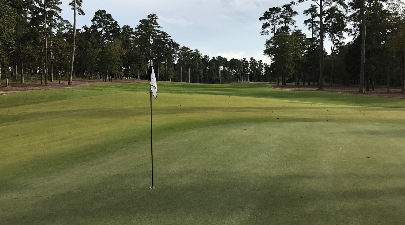 A Day at Bluejack National